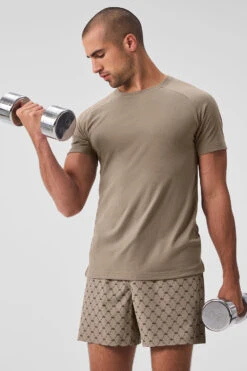 Triumph Raglan Tee - Gravel -Alo Yoga Shop M1133R 05438 b1 s1 a5 1 m180 6bb2a8f1 73ac 4fac 85e7 3d0bd6af62c8